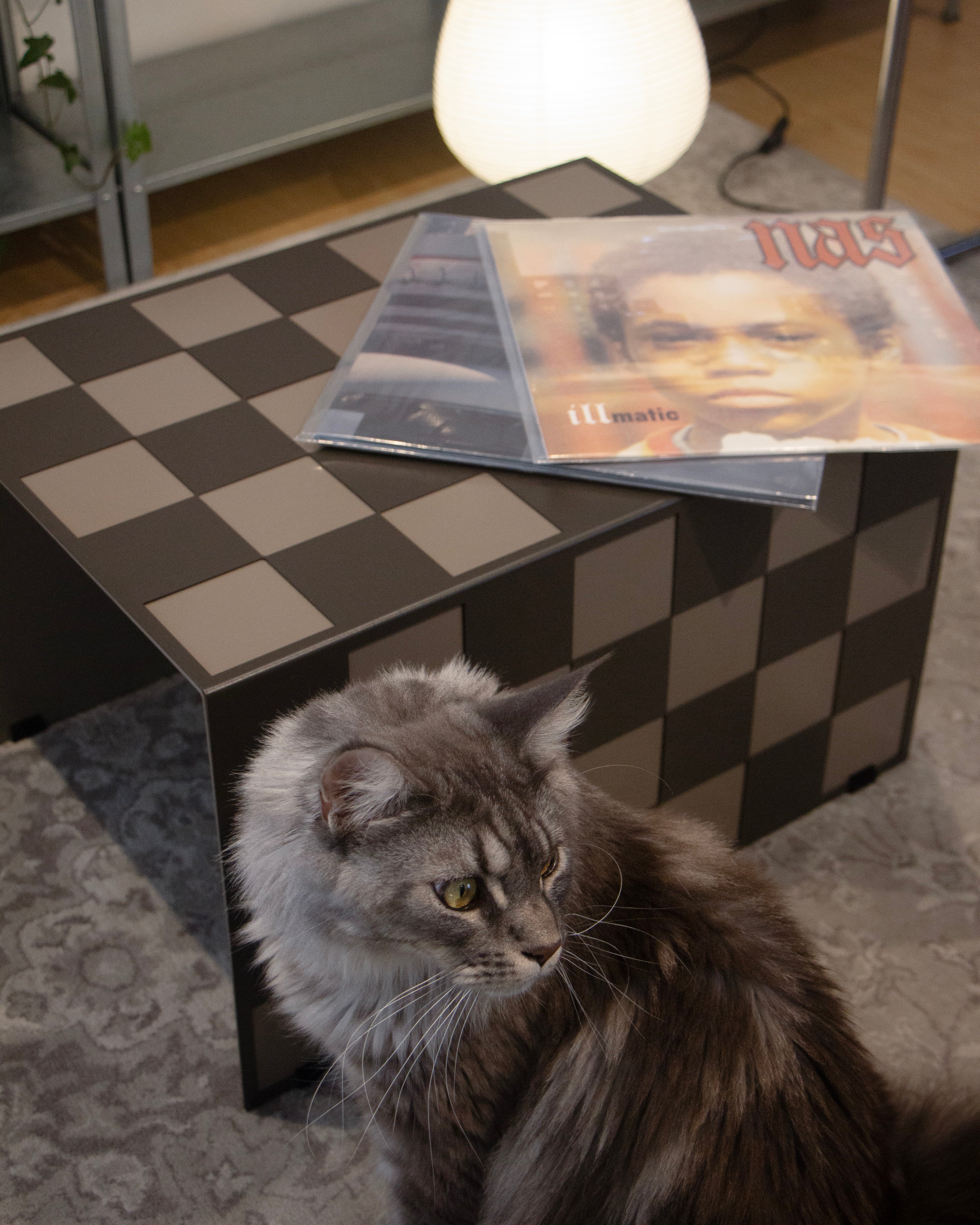 Mesa Chess (M)